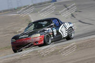 media/Oct-21-2023-Speed Ventures (Sat) [[ddf75163c5]]/Green/Grapvine/